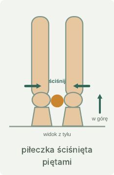 Wspięcia obunóż z piłeczką między piętami